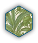 Florales Tapetenmuster